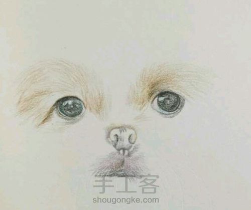 （转）彩铅狗狗 第3步