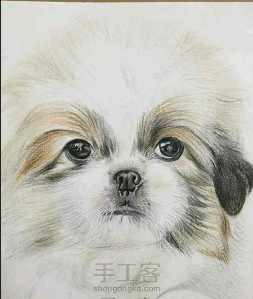 （转）彩铅狗狗 第7步