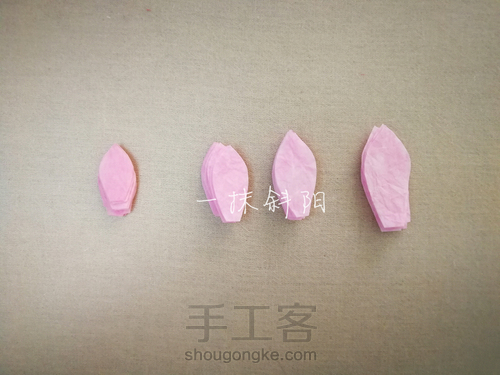 大丽花 第1步