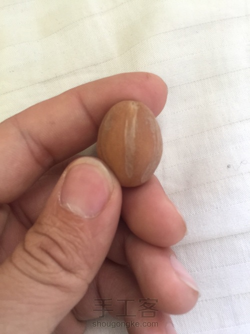 初学者橄榄核雕刻 第1步