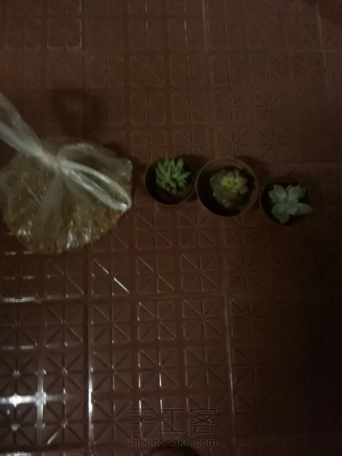 植物小摆盆(大，三个）😊 第1步