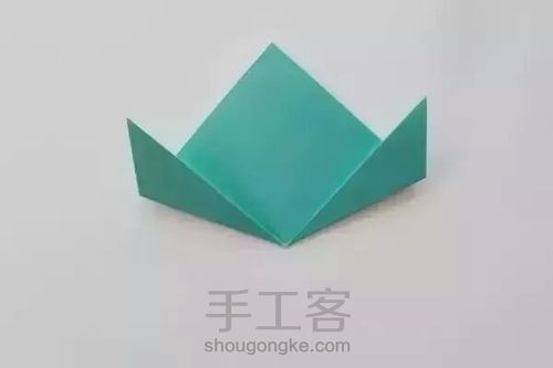 各种小花花哦⊙∀⊙！ 第5步
