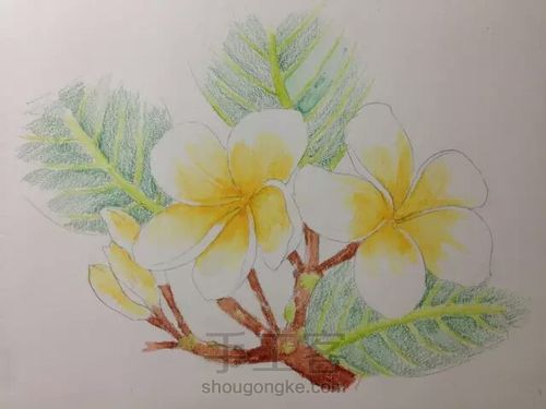 。。。。 第10步