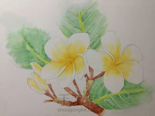 。。。。 第11步