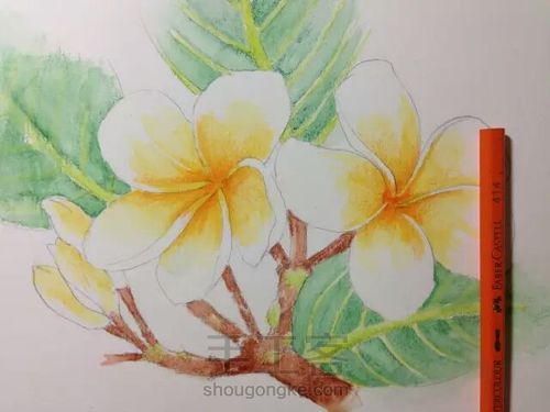 。。。。 第12步