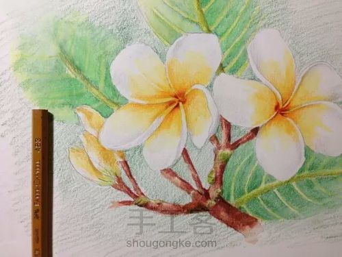 。。。。 第13步