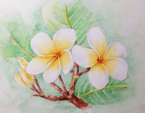 。。。。 第15步