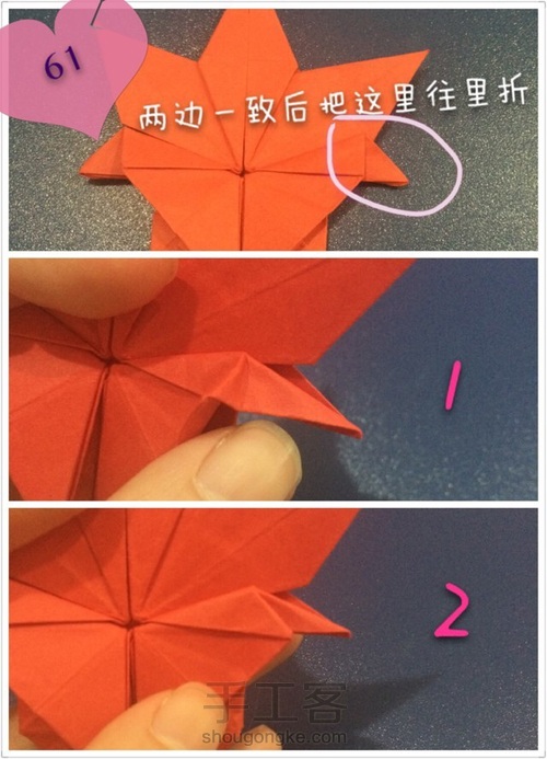 🍁七叶枫叶🍁 第61步