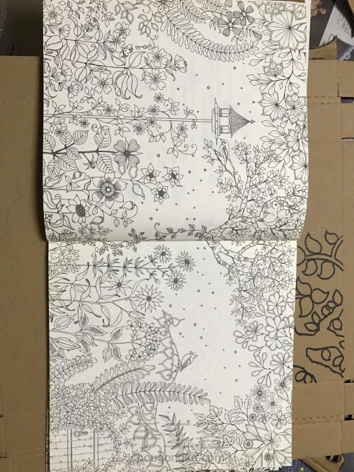 原创纸盒立体线描秘密花园-小米老师 第3步