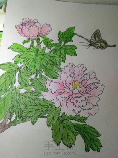 唯有牡丹真国色，花开时节动京城 第5步