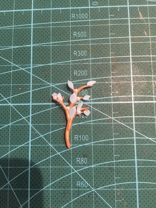 觉醒辉夜姬 第21步