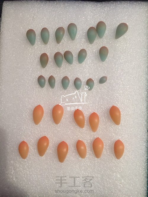 可能是一盆多肉 第14步