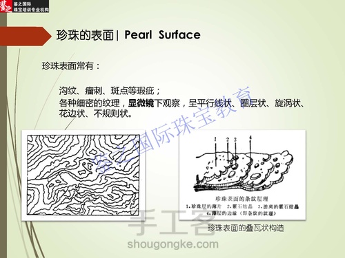 王佳的珠宝鉴定课| 珍珠 第21步