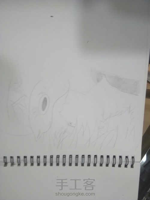 新手  不喜勿喷~ 第5步