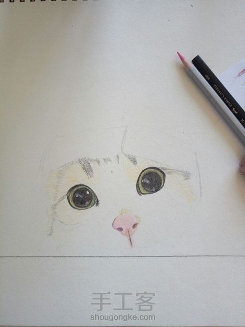 猫咪 第2步