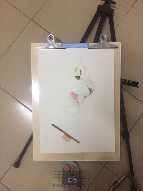 霸气老虎教程 第1步