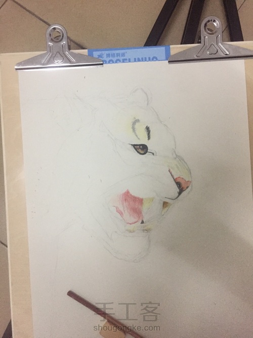 霸气老虎教程 第2步