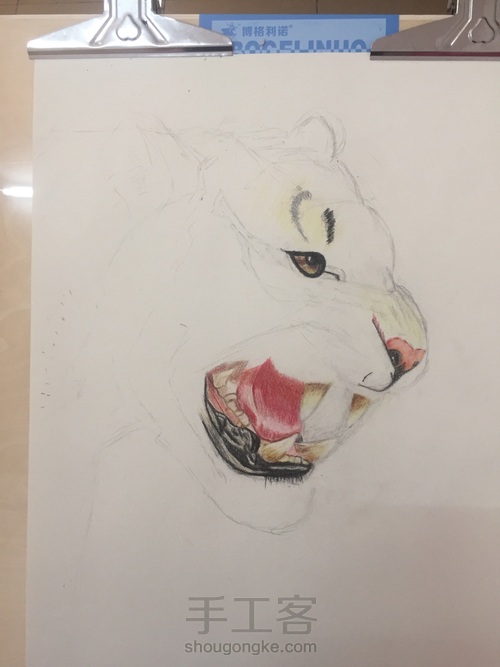 霸气老虎教程 第3步