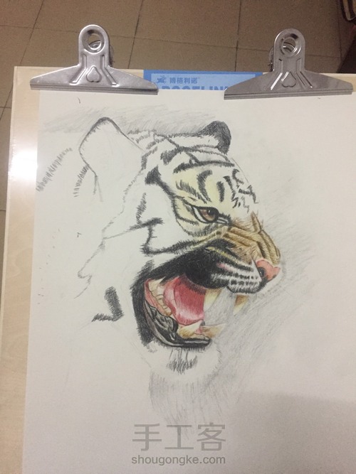 霸气老虎教程 第4步