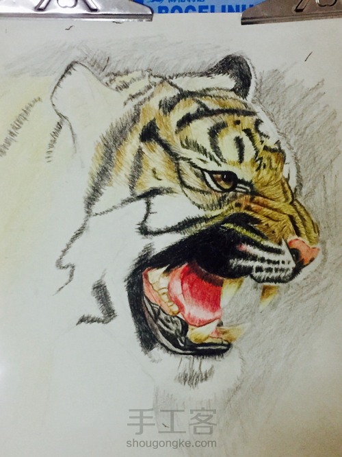 霸气老虎教程 第5步