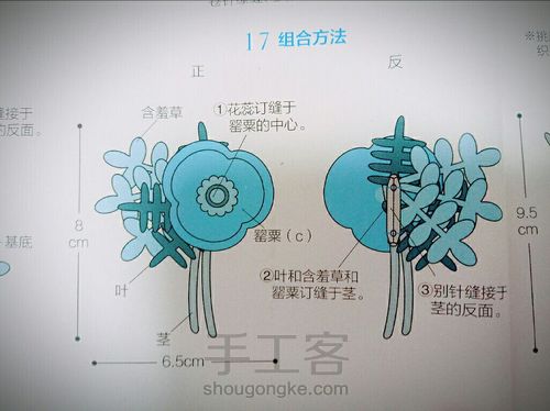 NO.2 冰岛罂粟含羞草的胸花教程的练习分享 第31步