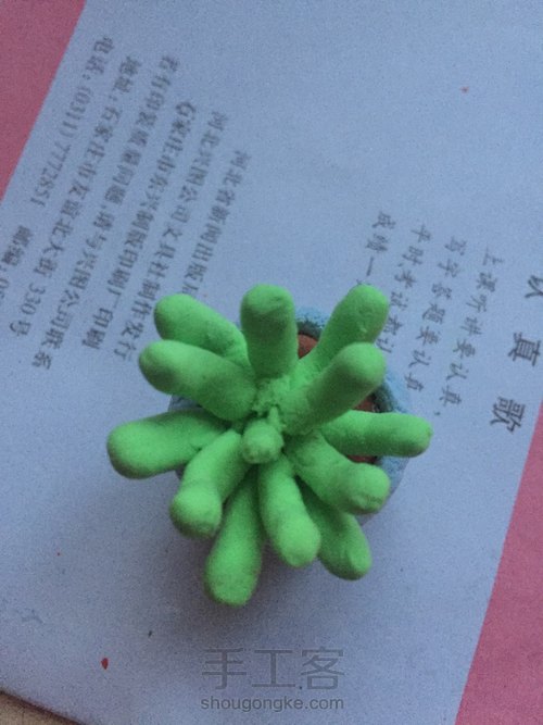 黏土多肉  第9步