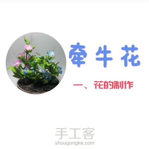 粘土花卉-牵牛花 第3步