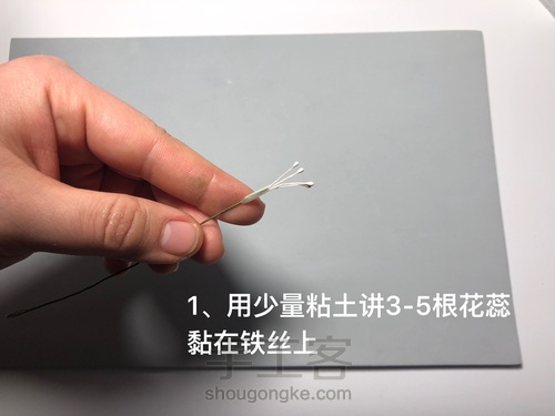 粘土花卉-牵牛花 第4步