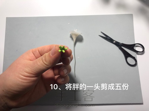 粘土花卉-牵牛花 第13步
