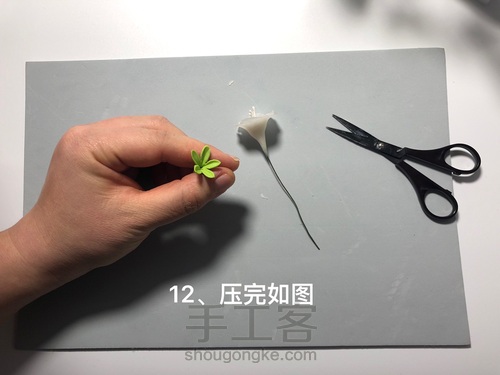 粘土花卉-牵牛花 第15步