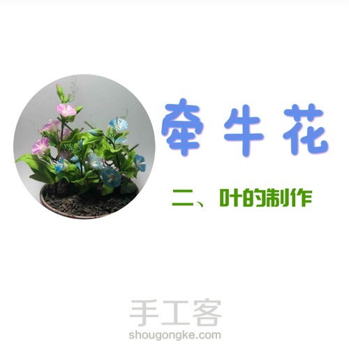 粘土花卉-牵牛花 第18步