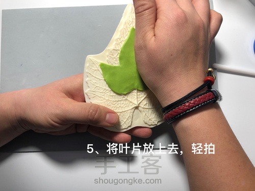 粘土花卉-牵牛花 第23步