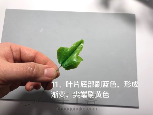 粘土花卉-牵牛花 第29步