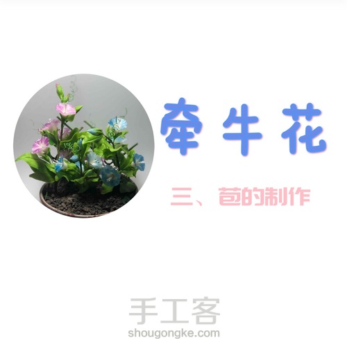 粘土花卉-牵牛花 第30步