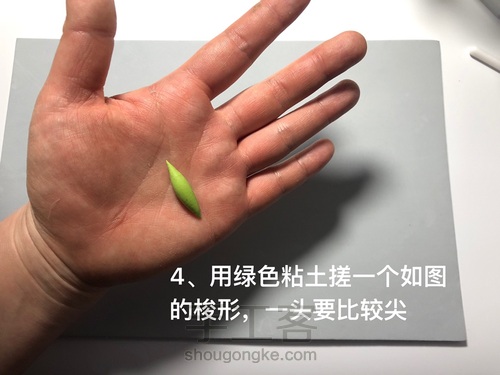 粘土花卉-牵牛花 第34步