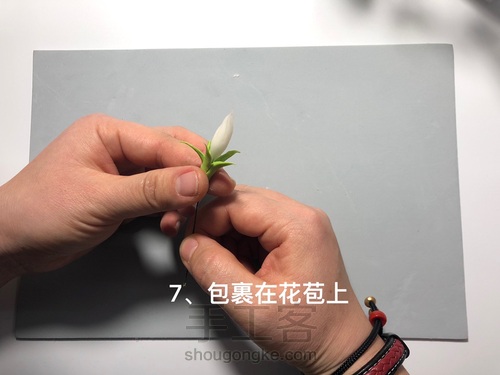 粘土花卉-牵牛花 第37步