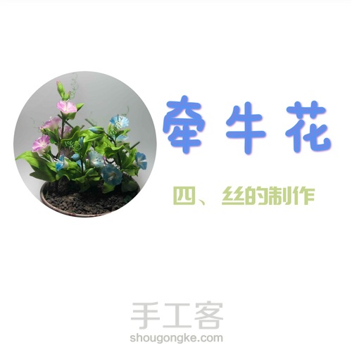 粘土花卉-牵牛花 第38步