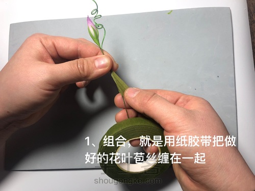 粘土花卉-牵牛花 第43步