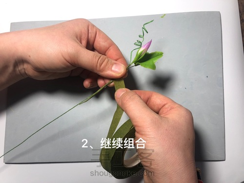 粘土花卉-牵牛花 第44步