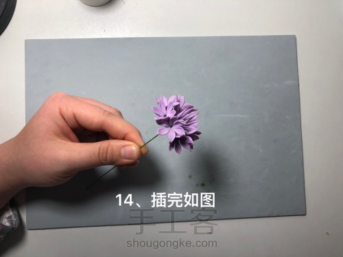 粘土花卉-矢车菊 第14步
