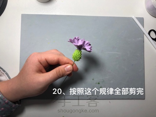 粘土花卉-矢车菊 第20步