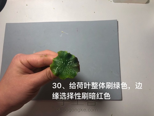 粘土花卉-荷花 第30步