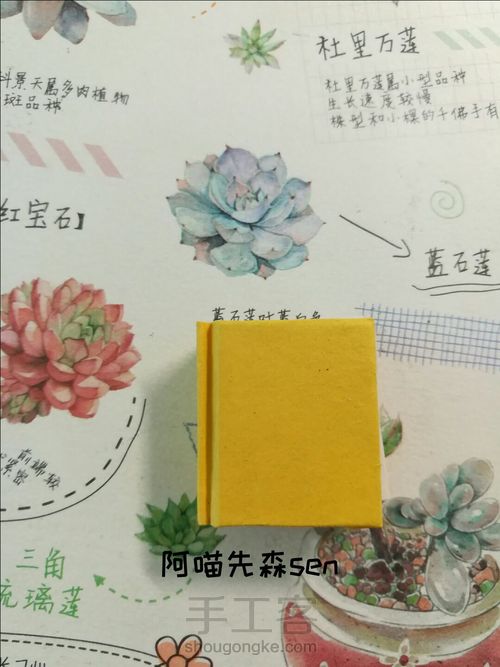 【阿喵】迷你微缩手工书 第20步