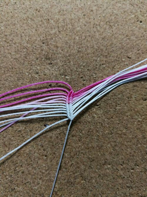 渐变色莲花01-花瓣 第2步