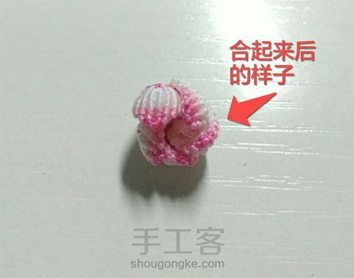 渐变色莲花01-花瓣 第6步