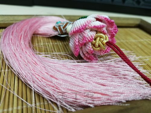 渐变色莲花01-花瓣 第13步