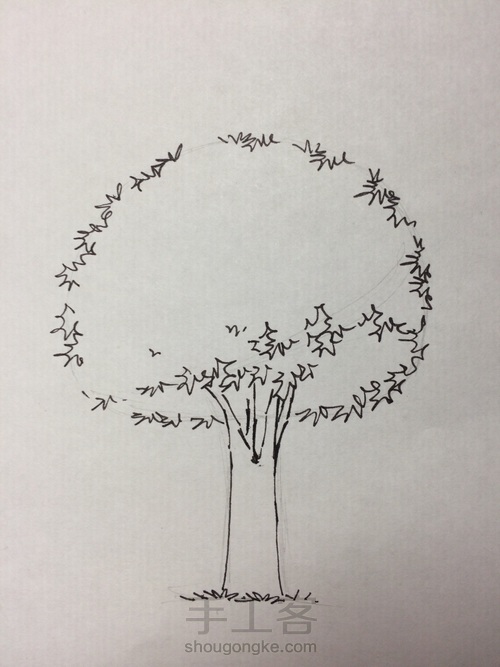 速写 树 第4步