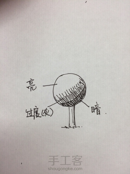 速写 树 第5步