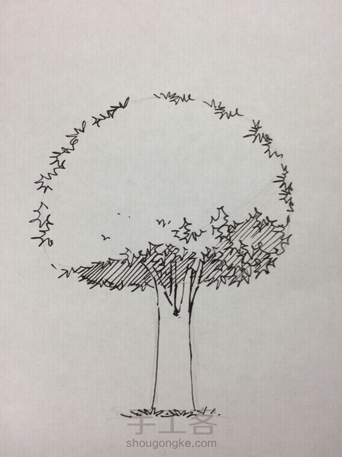 速写 树 第6步