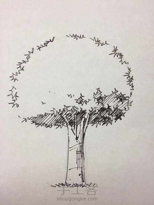 速写 树 第7步